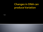 Changes in DNA can produce Variation