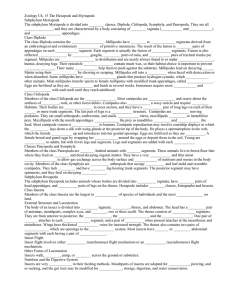 Zoology Ch. 15 The Hexapods and Myriapods Subphylum