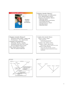 Kingdom Animalia: The Metazoa • Kingdom Animalia