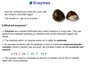 Enzymes - Mr. hawkins
