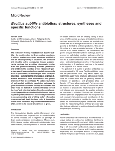 Bacillus subtilis antibiotics: structures, syntheses and specific functions