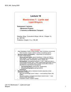 Lecture 18 Membranes 1: Lipids and Lipid Bilayers