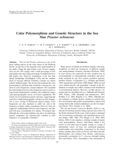 Color Polymorphism and Genetic Structure in the Sea Star Pisaster