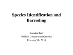 Species Identification and Barcoding