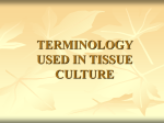 terminology used in tissue culture