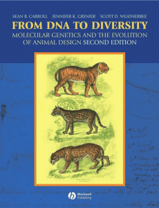 From DNA to diversity: molecular genetics and the evolution of