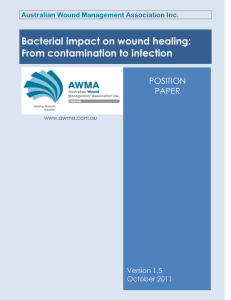 Bacterial impact on wound healing: From contamination to infection