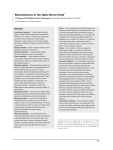 Biomechanics of the Optic Nerve Head