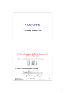 Neural Coding - Computing Science and Mathematics
