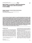 Bep4 Protein Is Involved in Patterning along the Animal