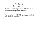 Module 5 Gene Mutations