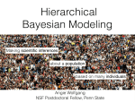 Hierarchical Bayesian Modeling