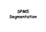 SPM5_segmentation