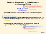 Evo-Devo: The merging of Evolutionary and Developmental Biology