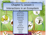Chapter 5, Lesson 1 Interactions in an Ecosystem