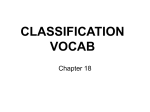 Classification Vocab