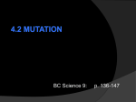 4.2 Mutation