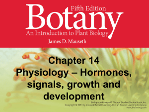 Slide set 8 – Physiology – Hormones and signals
