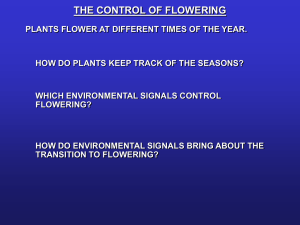 which environmental signals control flowering?