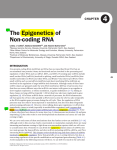 The Epigenetics of Non