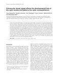 Extraocular dorsal signal affects the developmental fate of the optic