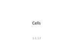 Cells