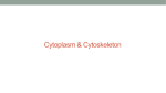 Cytoplasm!