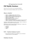 PHP MySQL Database