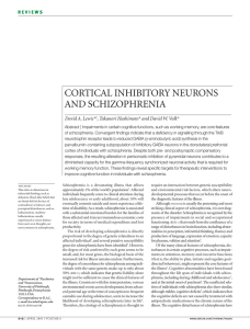 cortical inhibitory neurons and schizophrenia