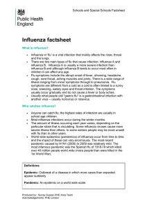 Influenza factsheet schools and special schools 2014