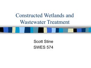 Constructed Wetlands and Wastewater Treatment