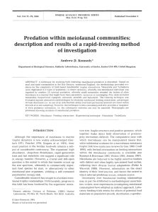 Predation within meiofaunal communities: description and results of