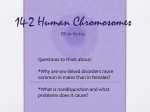 14-2 Human Chromosomes