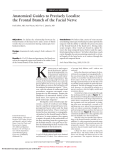 Anatomical Guides to Precisely Localize the Frontal Branch of the