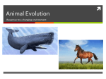 Evolution ppt