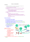 Neuroscience 4 – Neurotransmitters