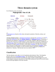 Three-domain system