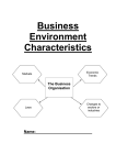 Business Environment Characteristics