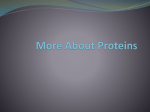 About Proteins