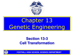 13-3 Cell Transformation