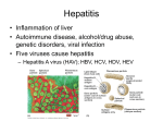 Protozoan Diseases of Lower Digestive System