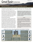 Great Basin Fact Sheet No. 8: Establishing Big Sagebrush and Other