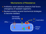 Step-wise resistance due to low-affinity PBPs