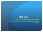 The Cell