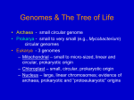 Lec. 26 - Genomics