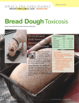 Bread DoughToxicosis