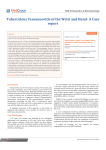 Tuberculous Tenosynovitis of the Wrist and Hand