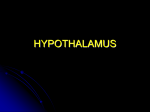 Neuro 06 Hypothalamus Student