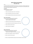 Microviewer Slides