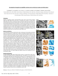 Investigation of magnetic susceptibility contrast across cortical grey